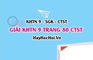 Giải KHTN 9 trang 80 Chân trời sáng tạo SGK